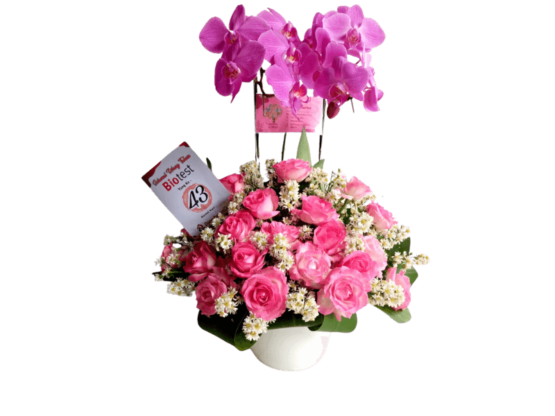 Bunga Mix Anggrek dan Mawar — Valentine
