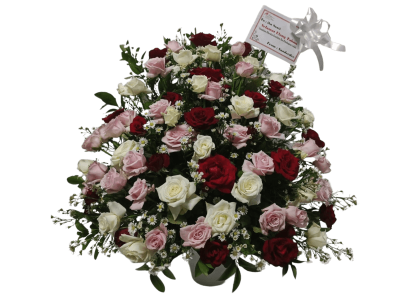 Bunga Mawar Beraneka Warna — Premium Rose