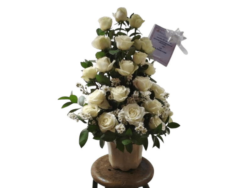 Bunga Buket Mawar Putih — Premium Rose
